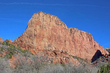 Fototapeta premium Zion National Park, Utah