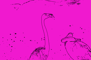 Flamenco fondo fucsia, rosa