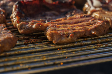 barbecueing on beautifull sunny day. steaks, chicken legs close-up