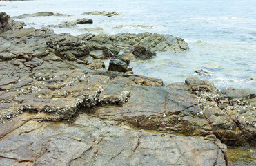 sea,landscape,travel