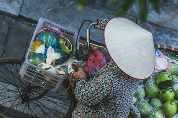 Vietnamese Fruit Street Vendor
