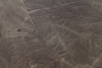 Aerial view of geoglyphs near Nazca - famous Nazca Lines, Peru. In the center, Condor figure is present.
