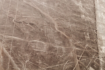 Aerial view of geoglyphs near Nazca - famous Nazca Lines, Peru. On the left side, Pelican figure is present (sometimes called Sea Birds figure).