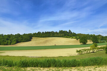 Paesaggio di campagna.
