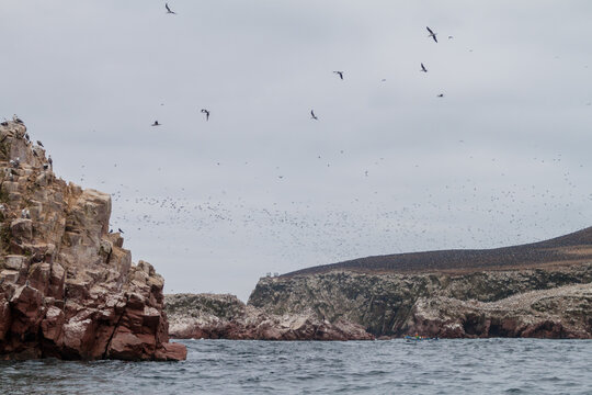 Rocks of the Ballestas Islands in the Paracas National park, Peru.