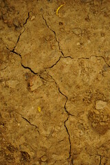  Cracks in the soil