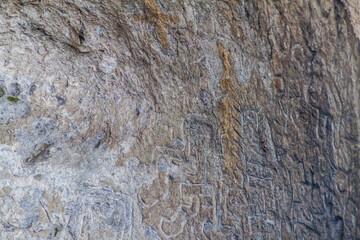 Petroglyphs near Cajamarca, Peru.