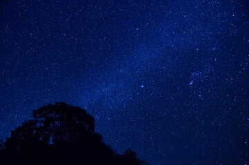 Fototapeta na wymiar white milky way shot in forest on top of the mountain at northern of thailand