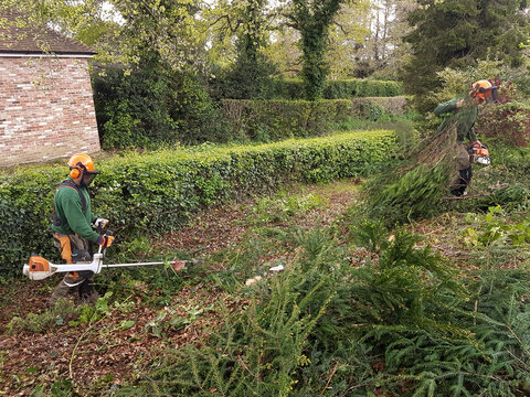 Brush cutting