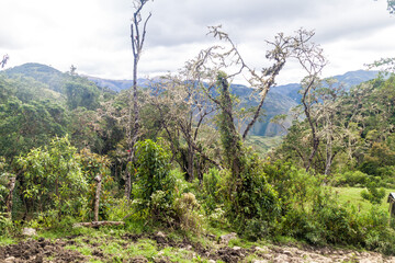 Landscape of mountains in northern Peru