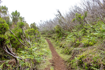 Hiking Landscape at Madeira Portugal 