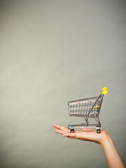 Woman hand holding small tiny shopping cart