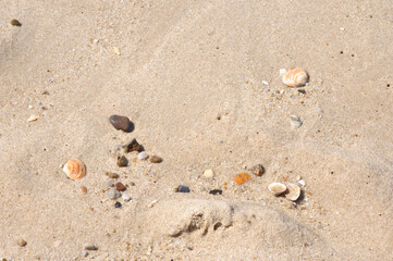 natürlicher Strandsand - mit kleinem Treibgut - in intensivem Sonnenlicht eines heißen Sommertags
