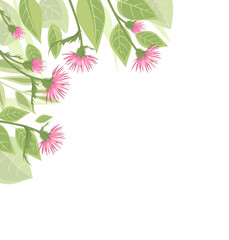 Thistle with green leaves