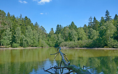 Obraz premium am Wiesbüttsee,ein Waldsee im Spessart zwischen Bayern und Hessen,Deutschland