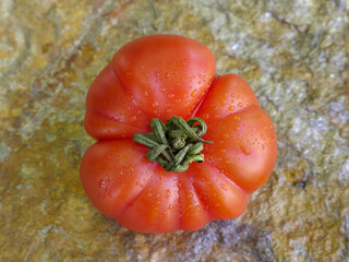 Red Marinda Tomato, phase 3, from Sicily