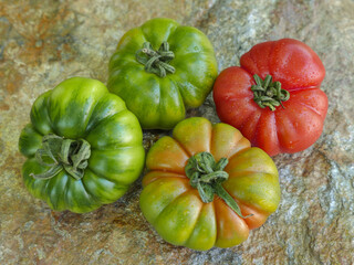 Various Marinda tomatoes from Sicily