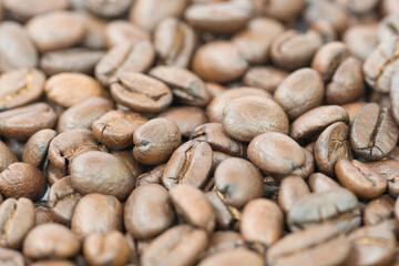 Brown coffee beans for background and texture.