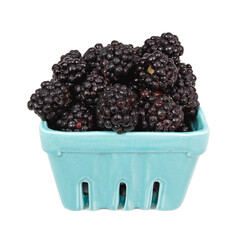 Juicy fat blackberries in ceramic basket. Isolated.