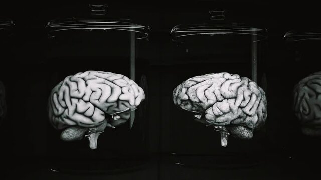 Human Brains in Science Laboratory Glasses Cinematic 3D Animation