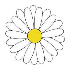 White doodle daisy drawing, vector illustration.