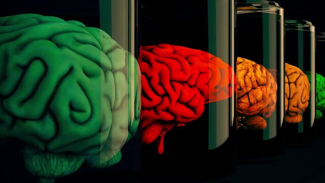 Human Brains in Science Laboratory Glasses Cinematic 3D Animation