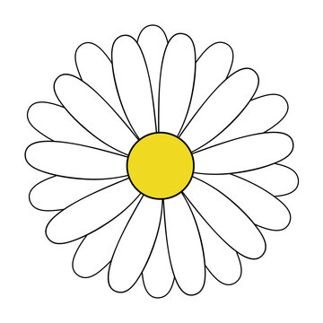 White doodle daisy drawing, vector illustration.