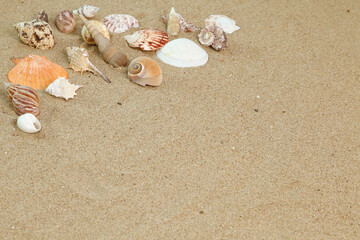 Naklejka na ściany i meble Coquillages sur le sable