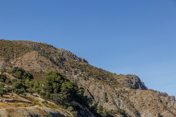 View of a hillside on a sunny summer day