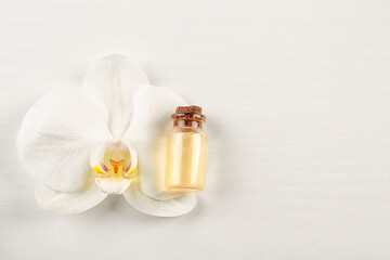 Orchid flower and oil bottle on light background