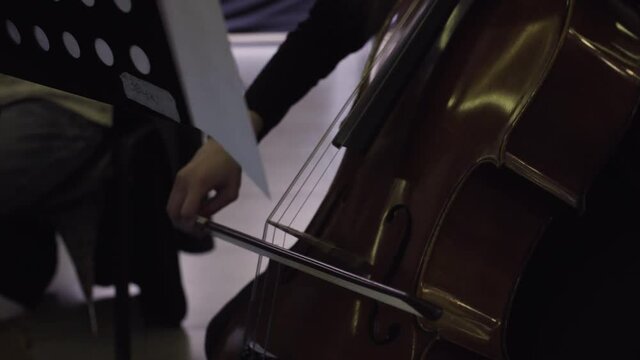 Musician playing violoncello, classic music