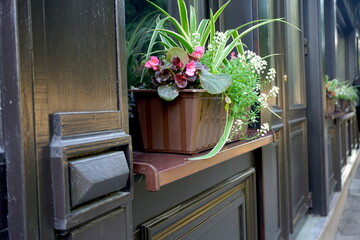 Street Cafe Flowers And Herbs Decor Concept.