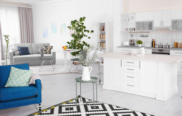 Modern kitchen interior