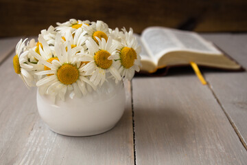 bible and daisies on wooden background