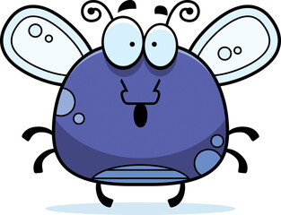 Surprised Little Fly