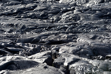 Smooth, undulating surface of frozen pahoehoe lava. Frozen lava wrinkled in tapestry-like folds and...