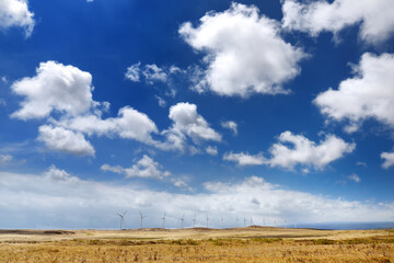 Fototapeta na wymiar A row of windmills on the south side of the Big Island of Hawaii