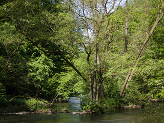 Warnowdurchbruch