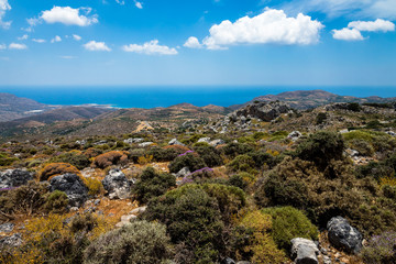 landscape in the mountains