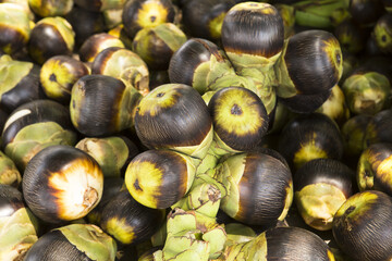 Toddy palm for sale in the country.