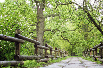 Beautiful wooden dead hedge in the park.