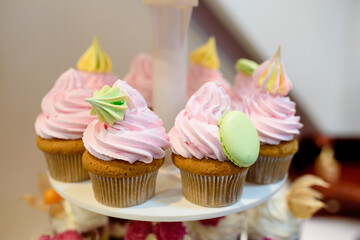 Multi-colored cream cup cakes