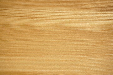 fragment background of wooden texture ash for designers