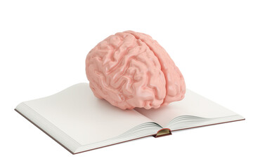 Opened blank book with human brain, 3D rendering