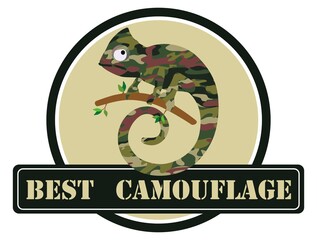 Image of a chameleon in camouflage colors. Vector illustration.