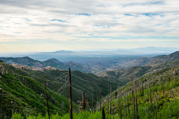 View from Mt Lemmon Tucson Arizona