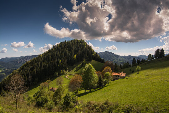 Panorama collinare Prealpino (Clusone, BG, Parco delle Orobie Bergamasche)