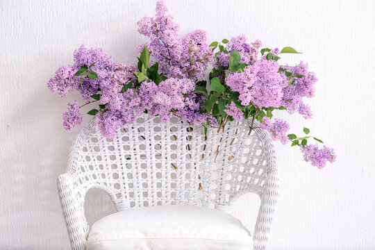 Beautiful lilac flowers on wicker armchair