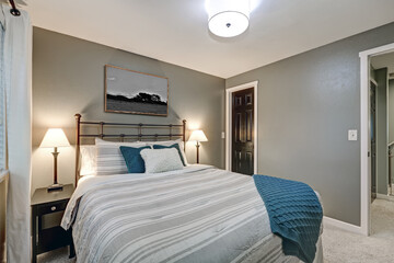 Fototapeta na wymiar Grey bedroom boasts large iron bed