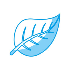 leaf icon over white background. vector illustration